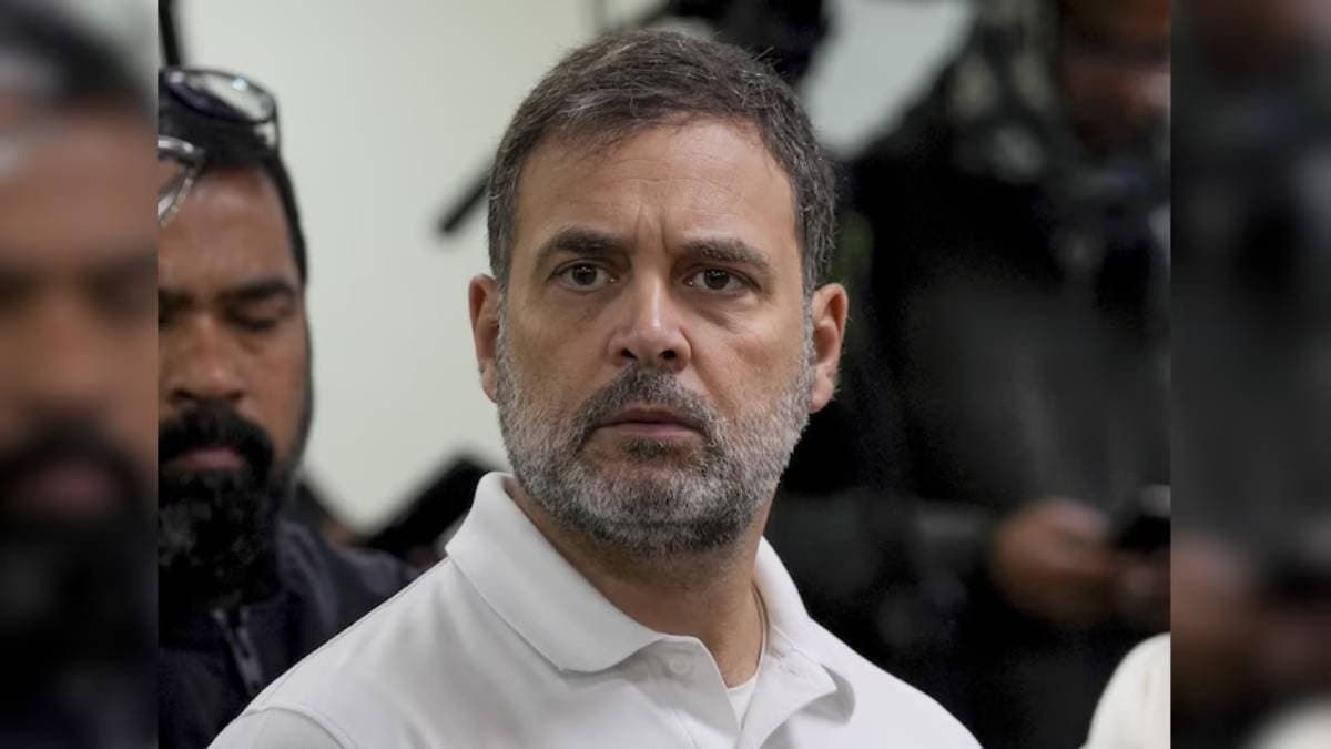 Rahul Gandhi Sued Bihar Man Files Petition Against Congress Leader Over Loss of Rs 5 Litres of Milk