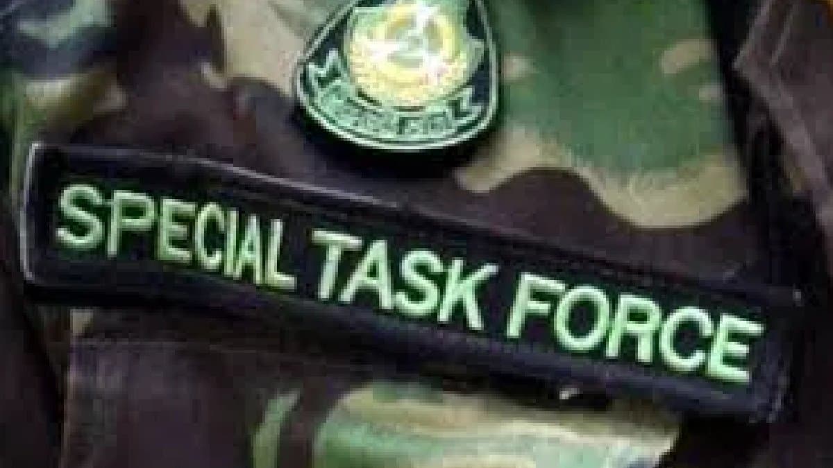 STF recovers illegal weapon 