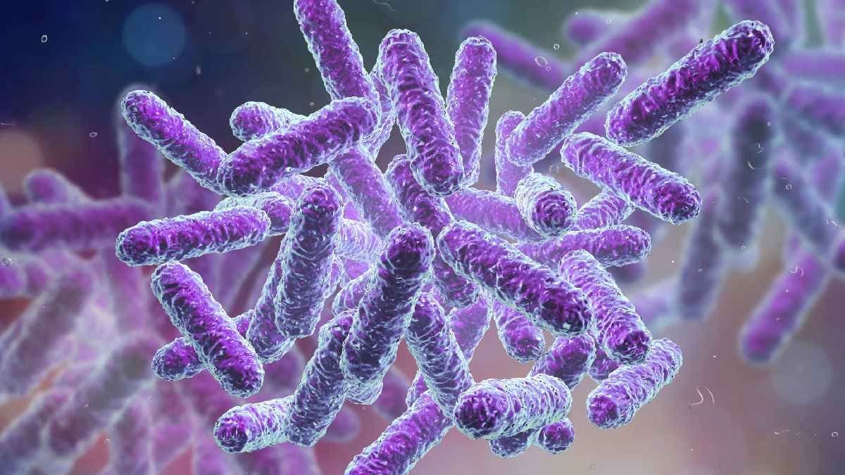 Bacteria that can survive by releasing electricity 