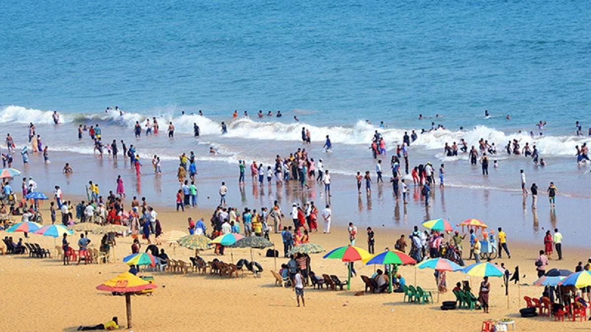 Tourists demand cleanup after dead jellyfish wash shore at Odisha Puri sea beach