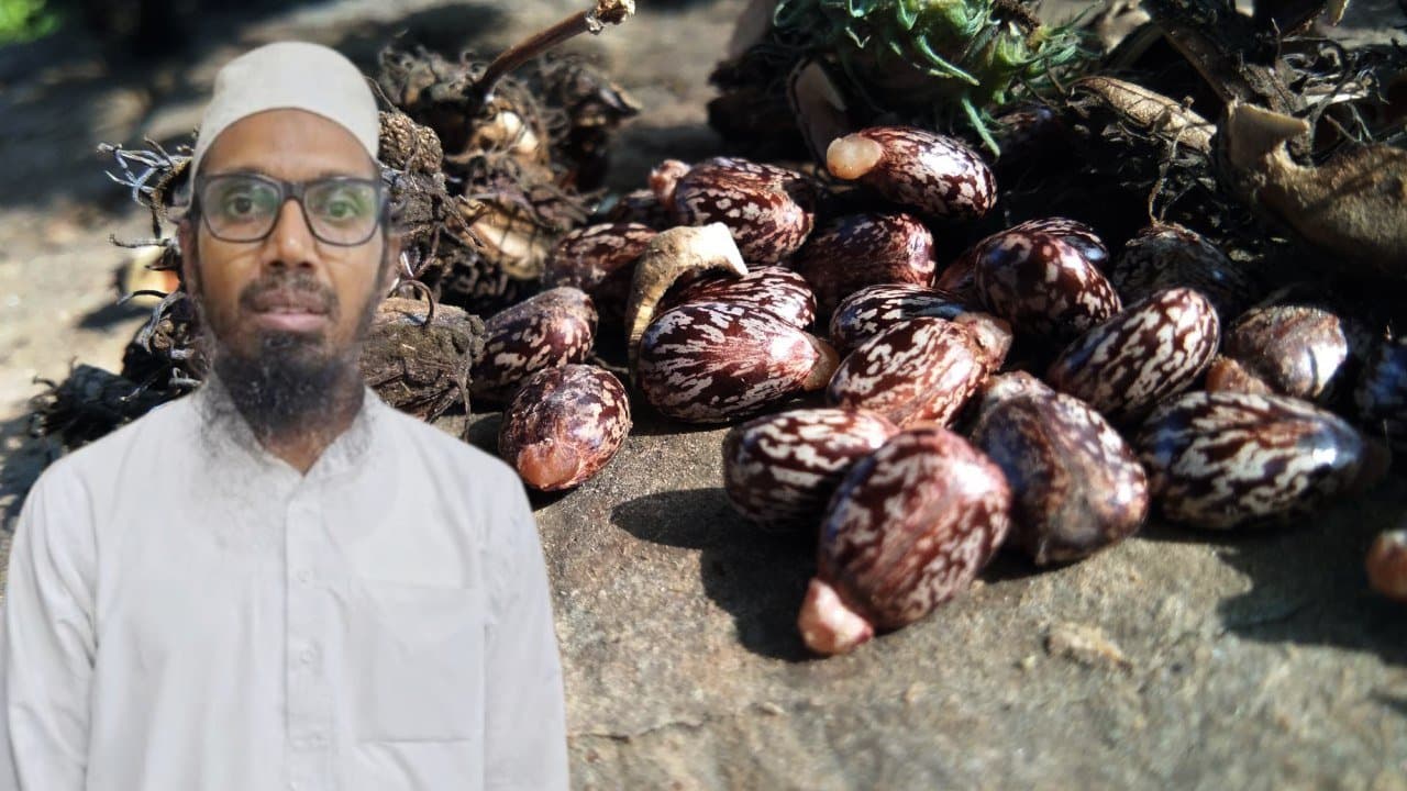 How fatal is ricin question arose after the Gujarat incident