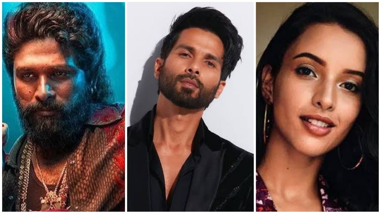 child injured in pushpa 2 screening stampede critical on ventilator support shahid kapoor going to pairing up with tripti dimri for a new movie ent