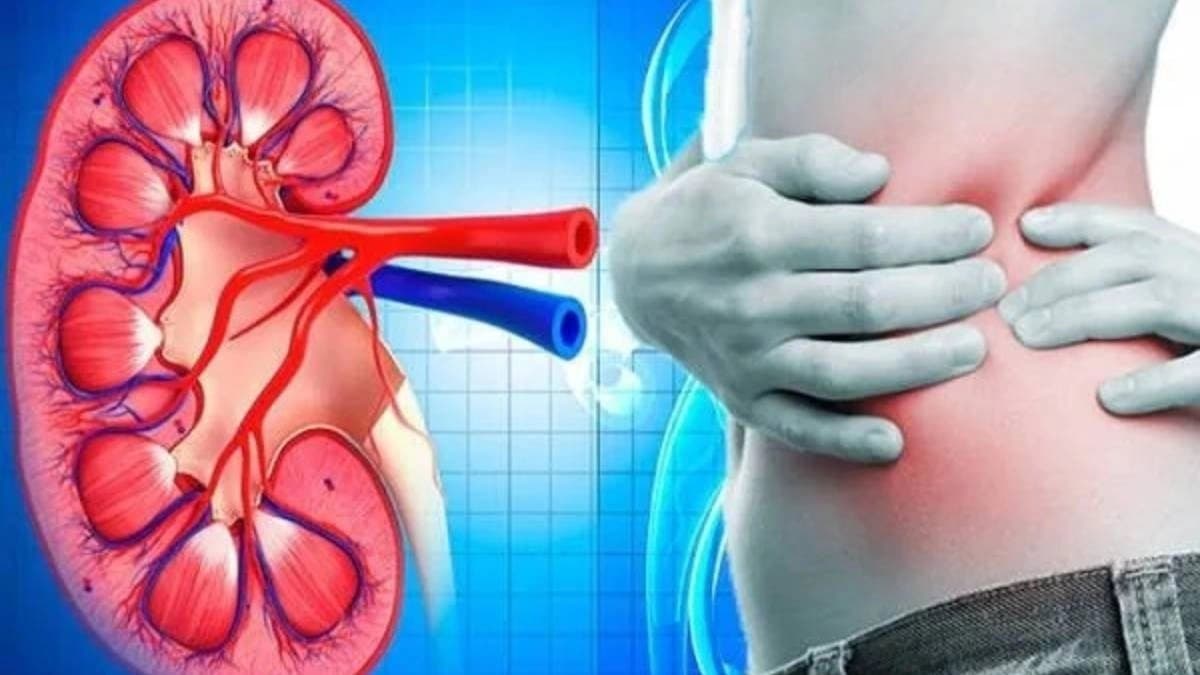 These Symptoms indicate kidney damage 