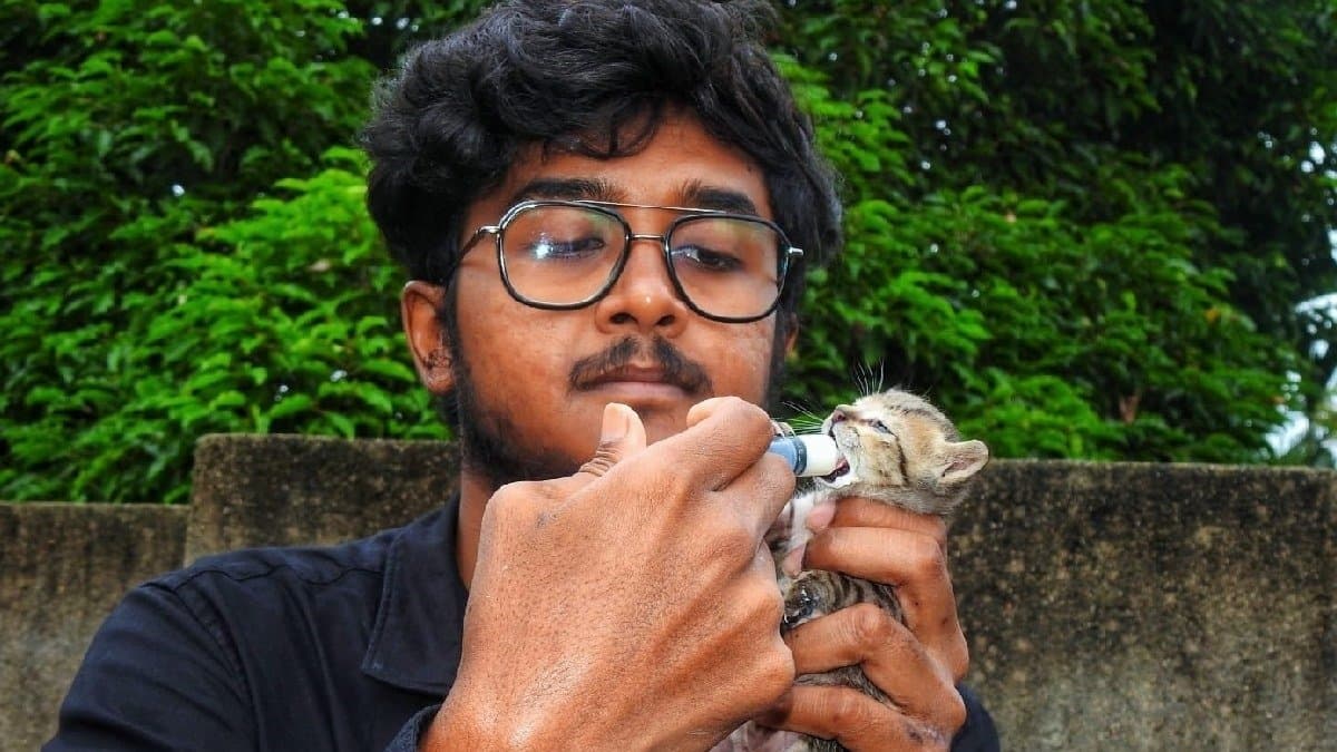 Howrah youth set up almost a hospital for rescued animals