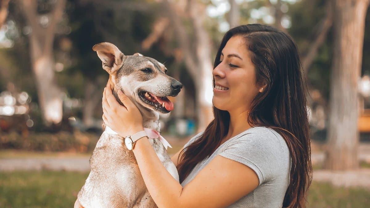 Pet dog does not allow couple to sleep together lif