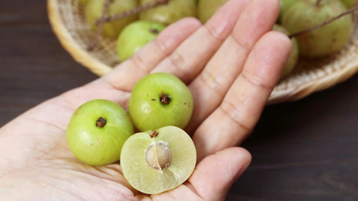 health benefits of amla lif