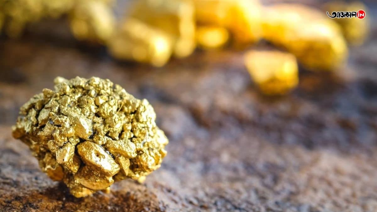 List of countries with the largest gold reserves, know india's rank gnr 