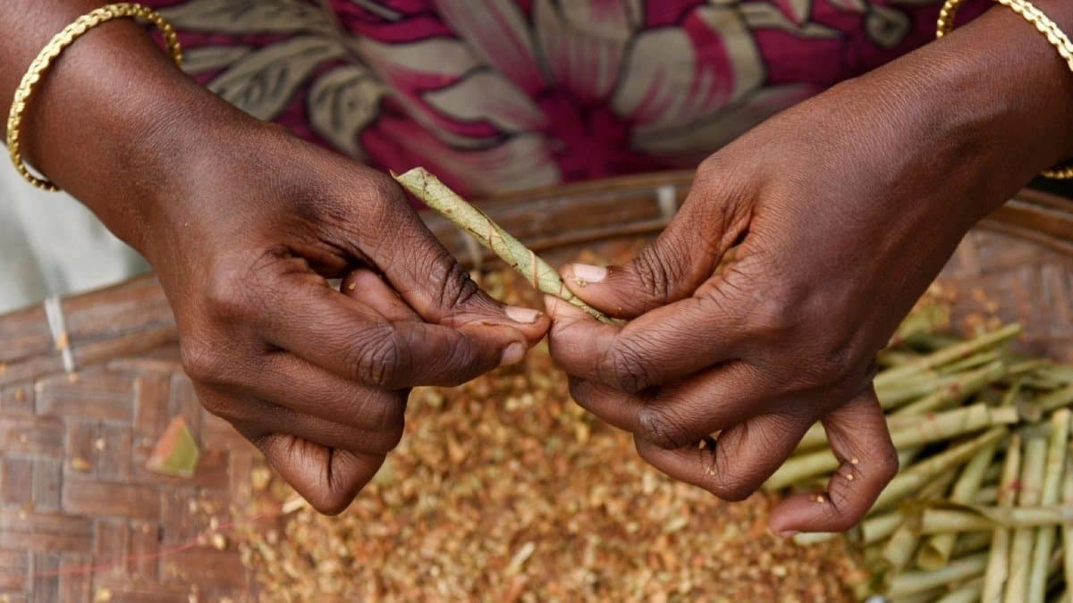 Bidis to get cheaper cigarettes and gutkha will be costlier why this disparity