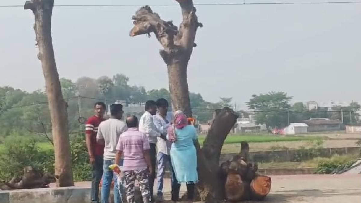 Public Outraged Over Railway as Trees Cut Down in the Name of Disaster Management