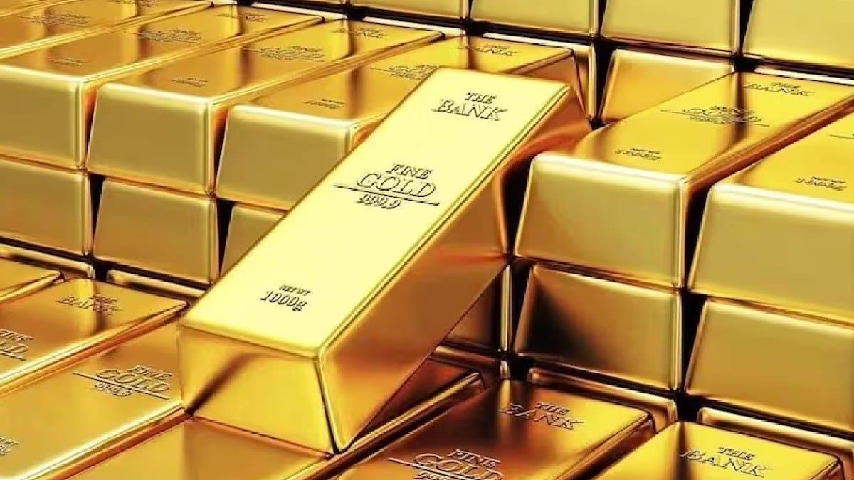 Gold prices are expected to hit new heights in 2025 gnr 