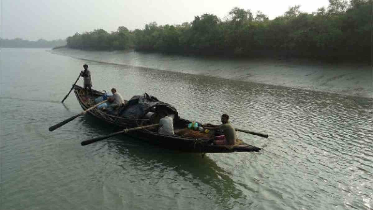 fisherman of sundarban faces harassment in forest gnr