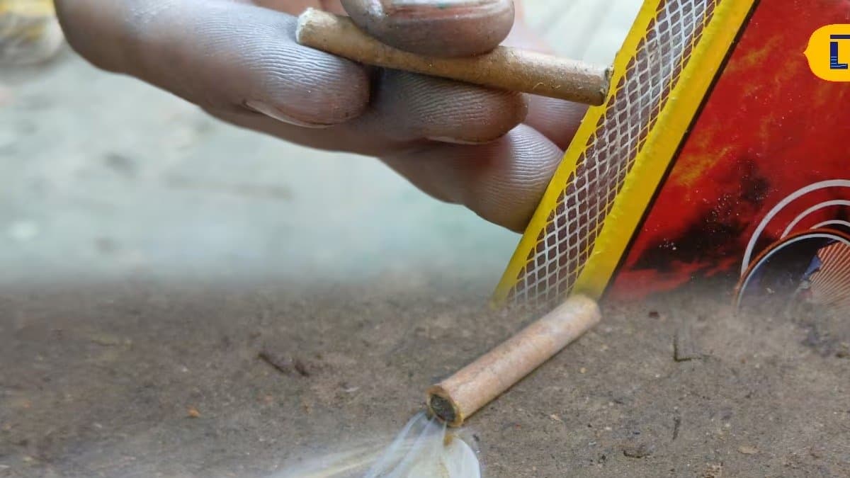 Kali Puja 2025: New Bidi Baji get famous in Market this Diwali