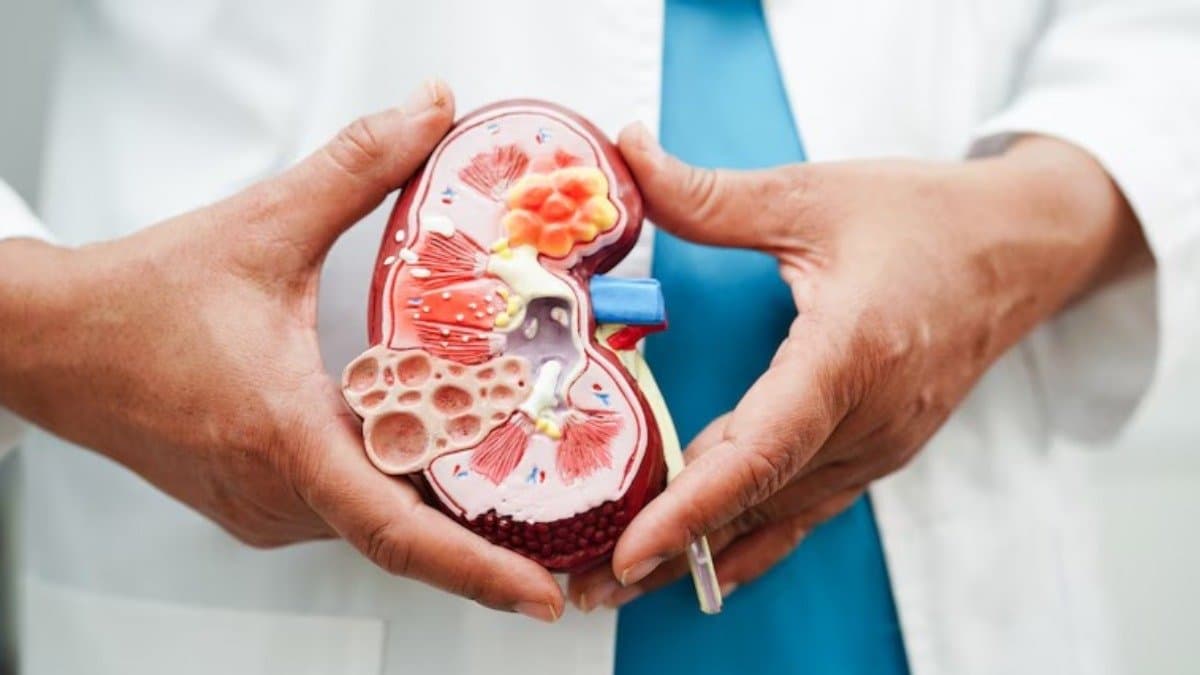 These Foods can silently damage your kidneys 