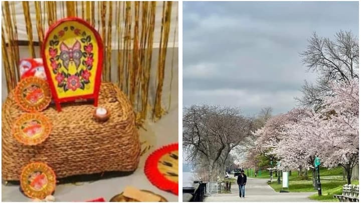 New Jersey: চেরিব্লসমের দেশে বর্ষবরণ