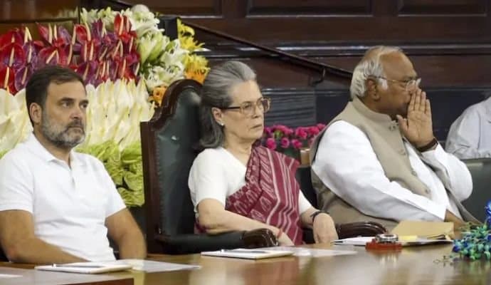 Sonia Gandhi: কংগ্রেসের সংসদীয় দলের চেয়ারপার্সন পদে পুনর্নির্বাচিত সোনিয়া গান্ধী 