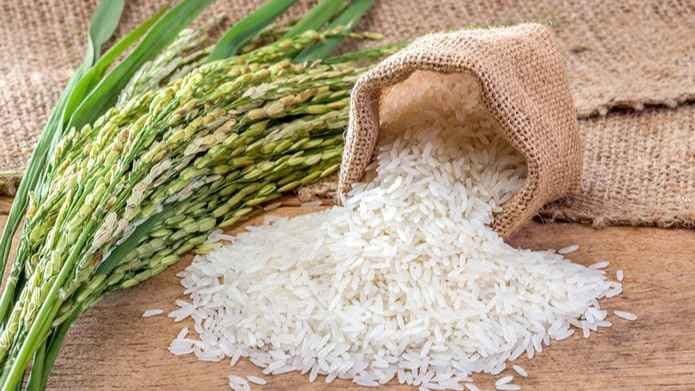 Magic rice ready to cook without boiling water gnr 