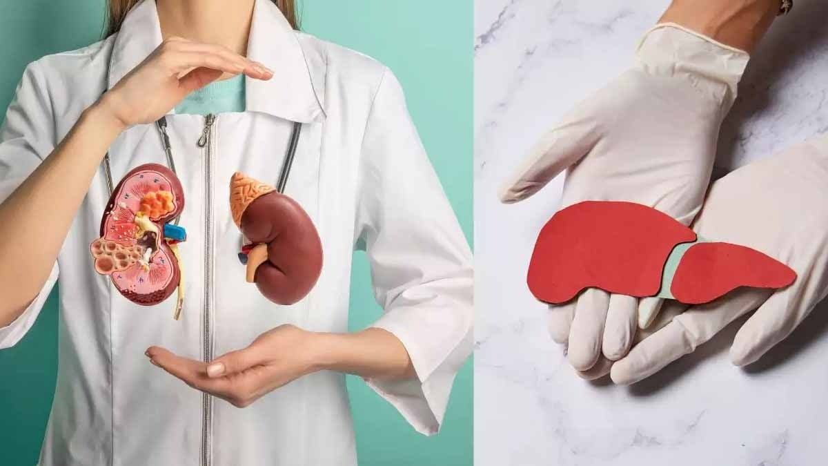  5 Morning habits to detox your liver and kidney lif