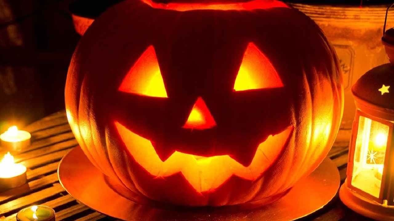 Halloween Pumpkin: Hidden link between the soil and Human Health