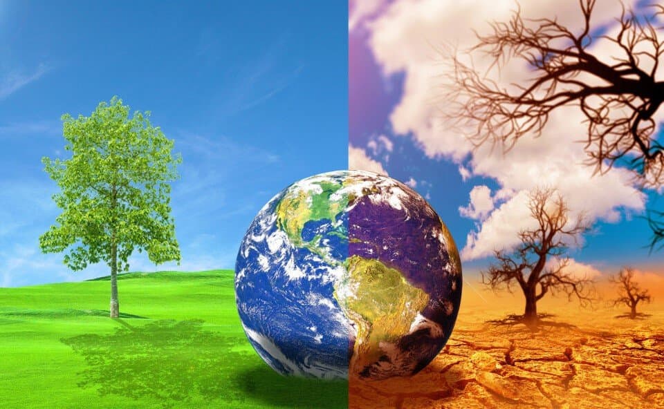 World Environment Day 2024