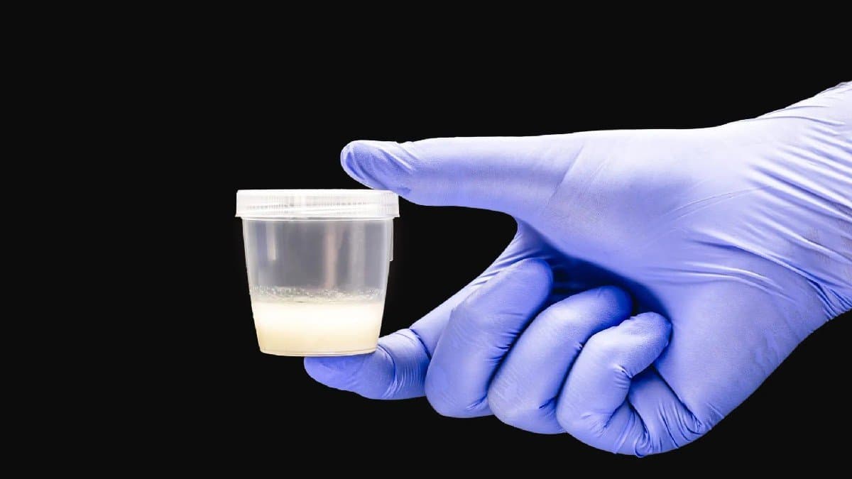 Mens Health: This is the normal volume of seed during intimacy