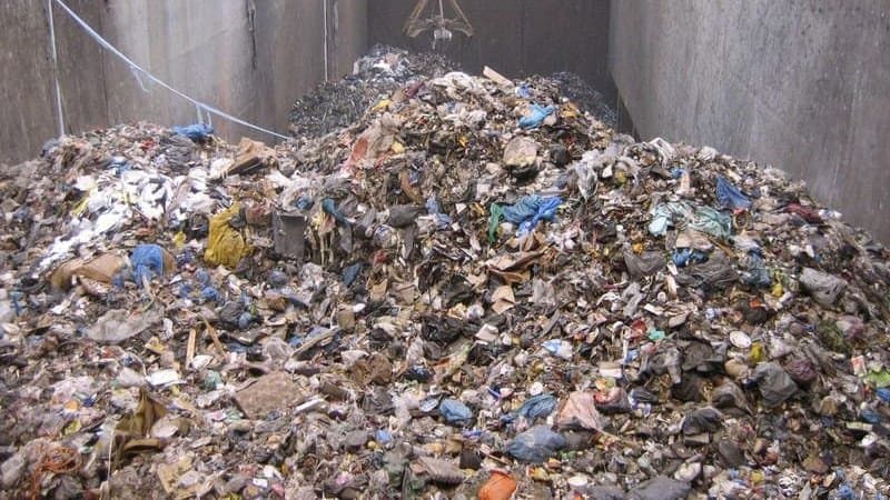  60 Year Old Cancer Patient Dumped in Garbage By Grandson In Mumbai