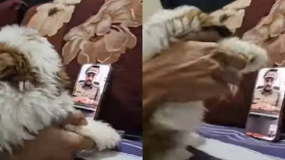 Mumbai Man Used His Puppy To Outsmart Scammer Posing As Cop