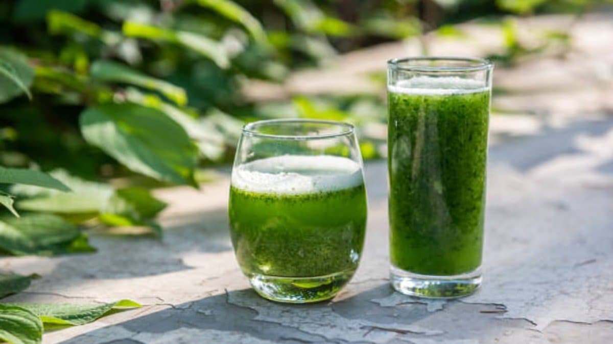 thankuni leaf or centella asiatica increases stamina and helps to look younger know other benefits also lif