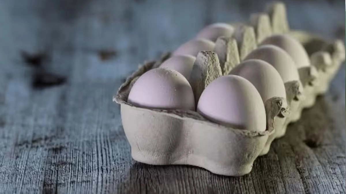 Students threaten to quit over eggs in mid-day meals in Karnataka school
