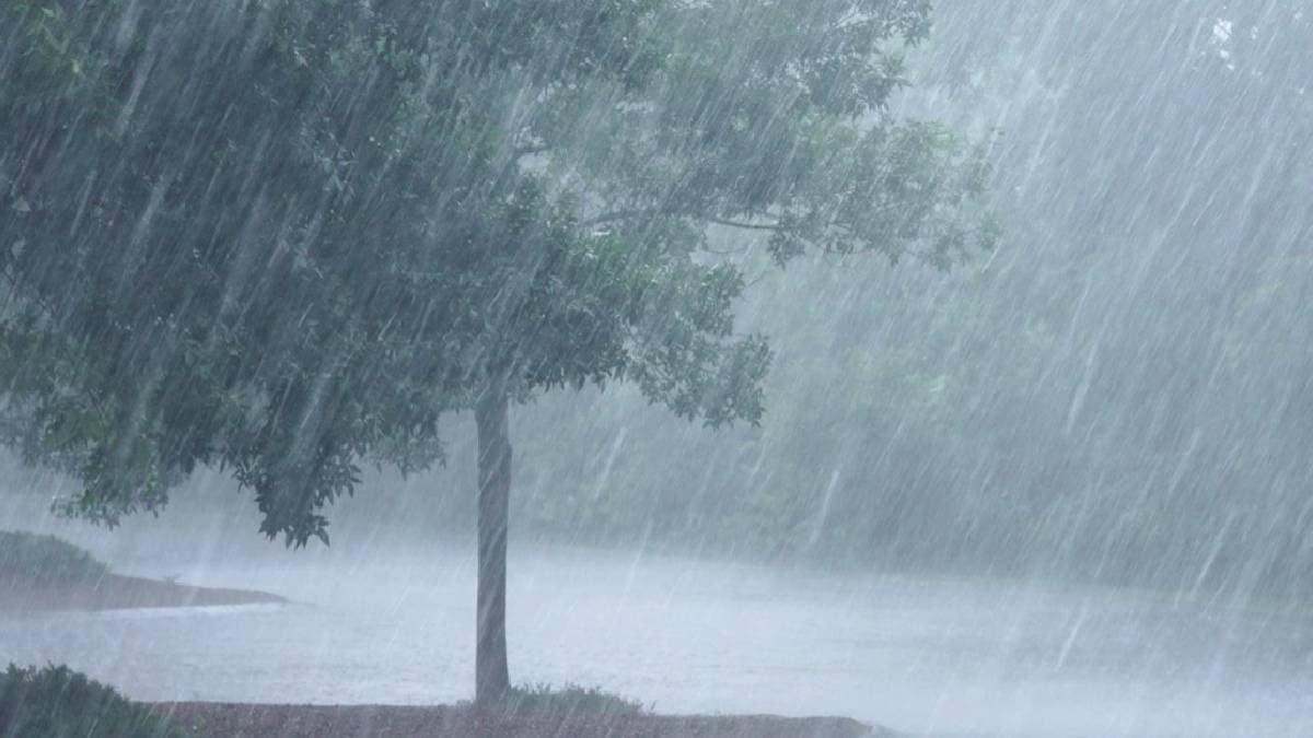 Weather Alert  Meteorological Department Heavy Rains  snowfall Predicted for these States gnr