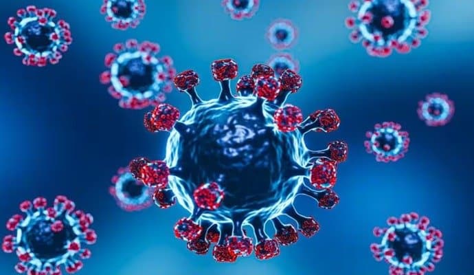  28 Children Died Of Chandipura Virus Since July In Gujarat