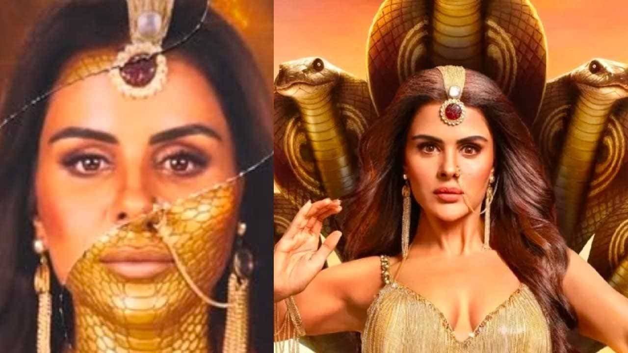 Former Bigg Boss contestant Priyanka Chahar Choudhary is Ektaa Kapoor s new Naagin 