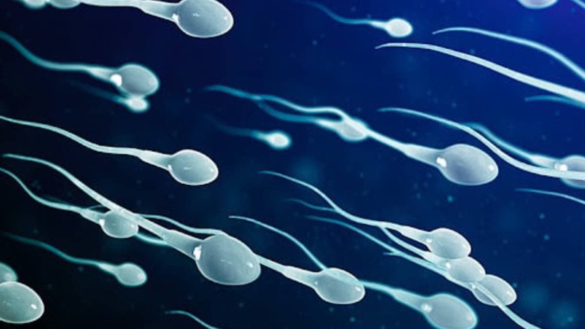 Semen has antidepressant compunds 