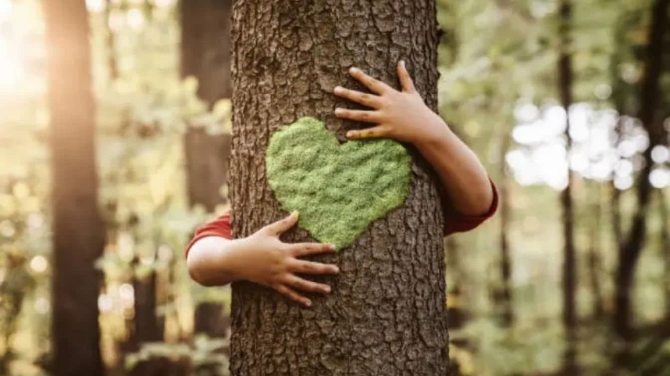 Hugging a tree for at least 21 seconds can provide both physical and mental health benefits