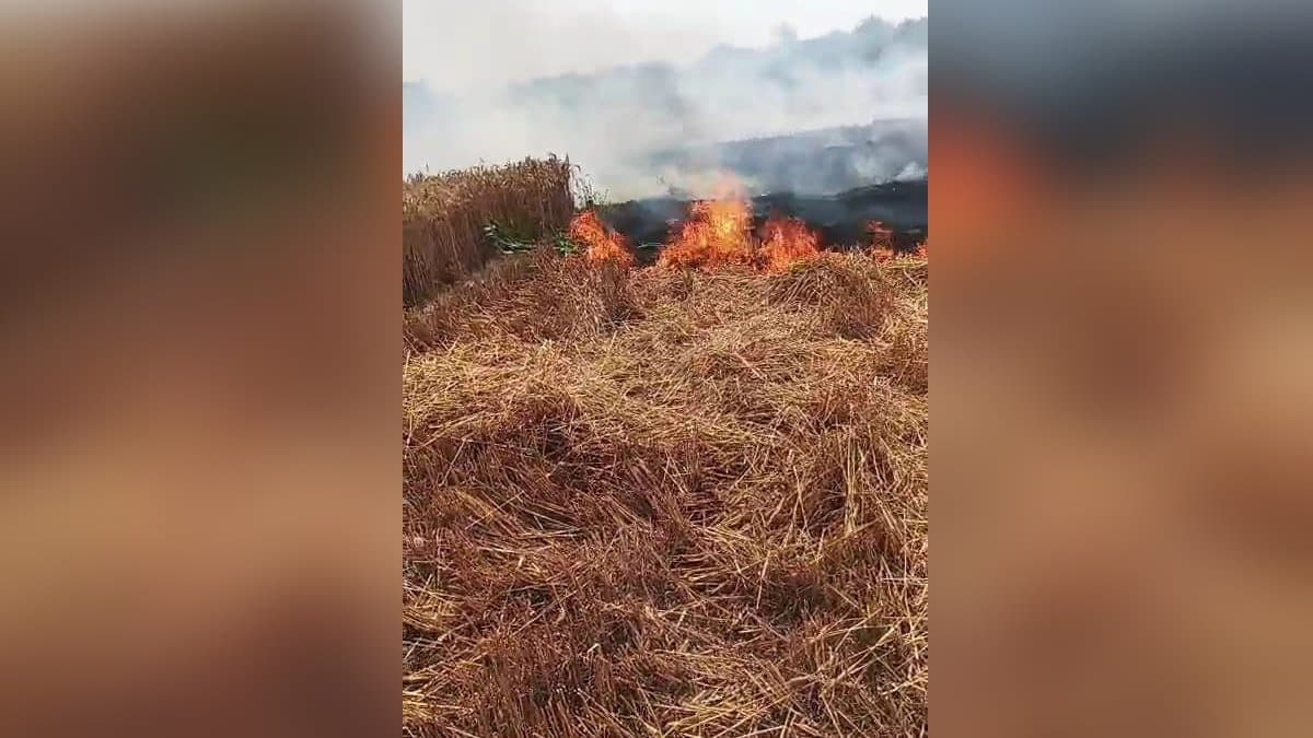Devastating fire in Murshidabad burnt huge crops