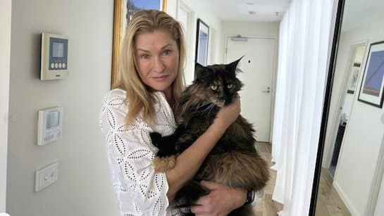 Cat Left On Plane Travels Back And Forth Between New Zealand And Australia gnr 