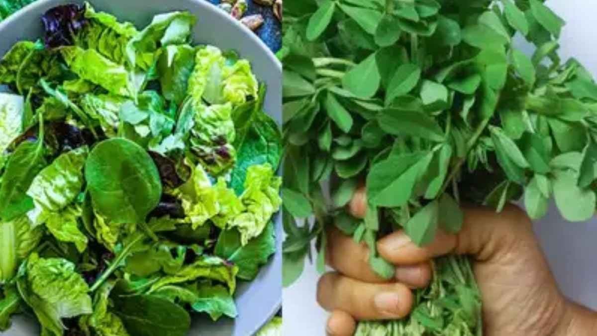 শুধু দানা নয়, সুস্থ থাকতে রোজ পাতে রাখুন এই শাক, ডায়বেটিস নিয়ন্ত্রণ থেকে যৌন উত্তেজনা বৃদ্ধি করতে সবার খাওয়া চাই 