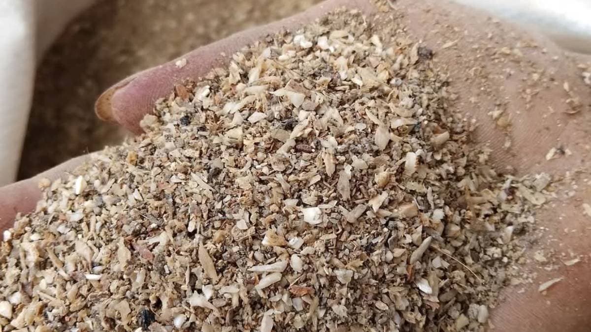 Natural urea you will be amazed to know about this natural wonder