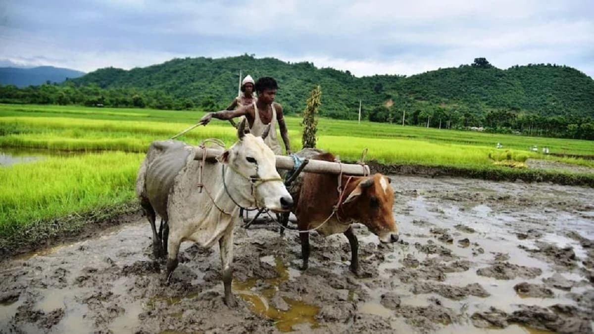 PM-KISAN: লোকসভা ভোটের পর মিলবে পিএম কিষান প্রকল্পের টাকা