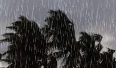 Weather Update: রবি-সোমে তুমুল ঝড়বৃষ্টির পূর্বাভাস, দক্ষিণবঙ্গে জারি হলুদ সতর্কতা 