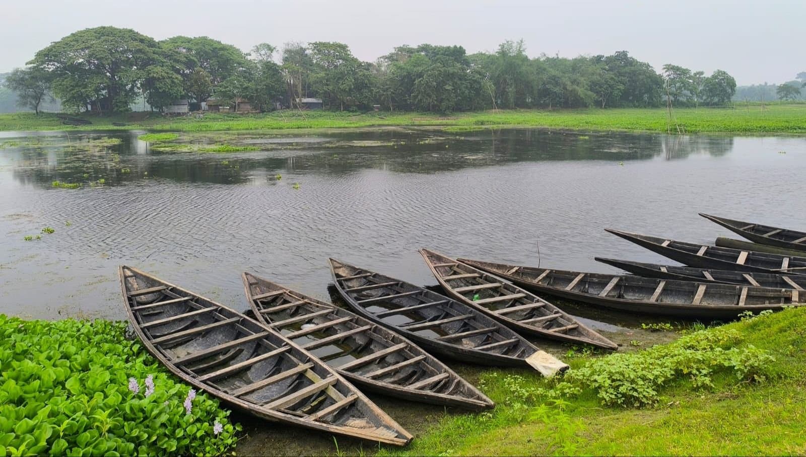 প্রার্থী, প্রচার কিছুর দেখা নেই, তবু বিএসএফ-এর অনুমতি নিয়ে ভোট দিতে আসবেন ছিটমহলের বাসিন্দারা 