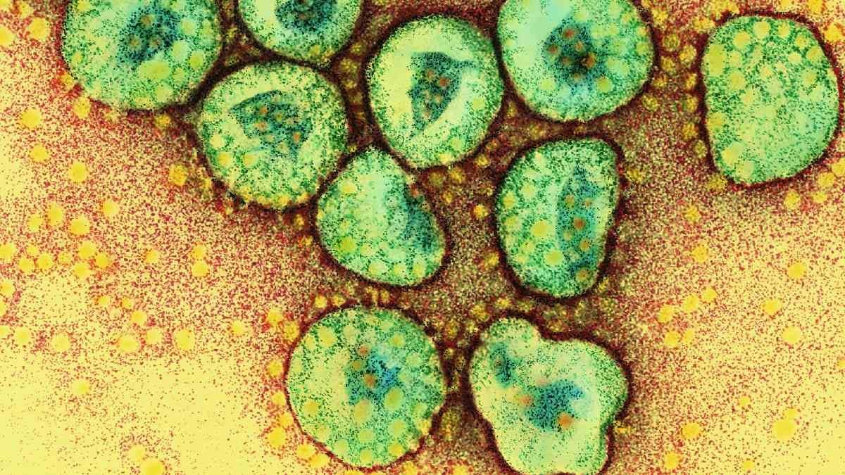 New variant of covid virus discovered in china lif