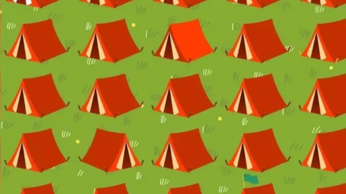 Can You Spot The 6 Odd Tents In This Puzzle in  21 Seconds gnr 