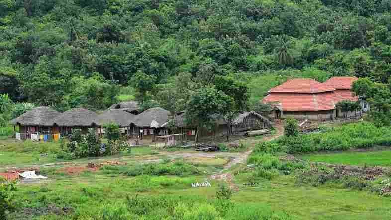 No Electricity Or Internet on This Andhra Pradesh Village gnr 