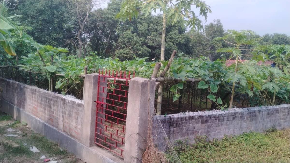 Assurance from the Land Revenue Department on Measures gnr