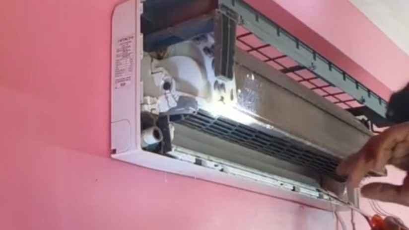 Five Snake Found in AC In North 24 Pargana