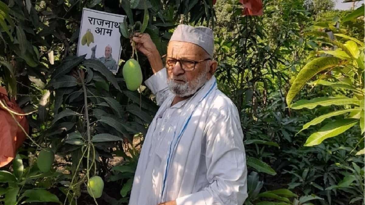 ঐশ্বর্যাকে খেতে খুব ভালবাসেন, 'ম্যাঙ্গো ম্যান' নামে এই ব্যক্তি কী কাণ্ড করলেন জানেন?