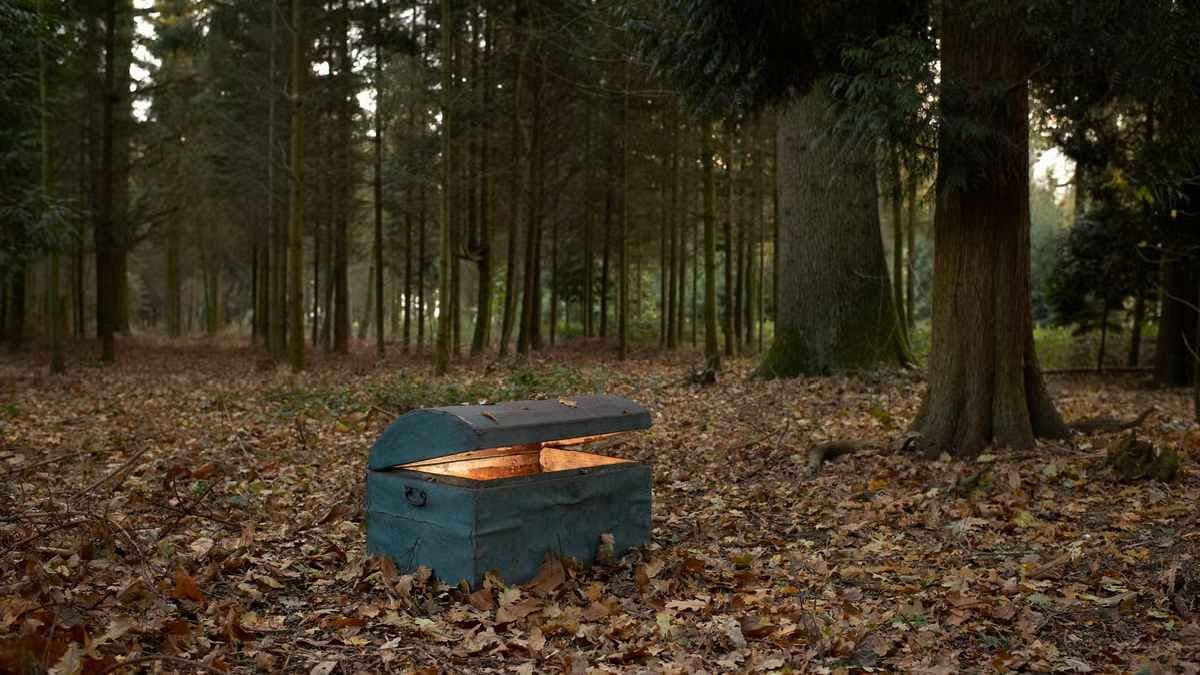 Woman found a jewel worth crores of rupees while walking- what did she do next