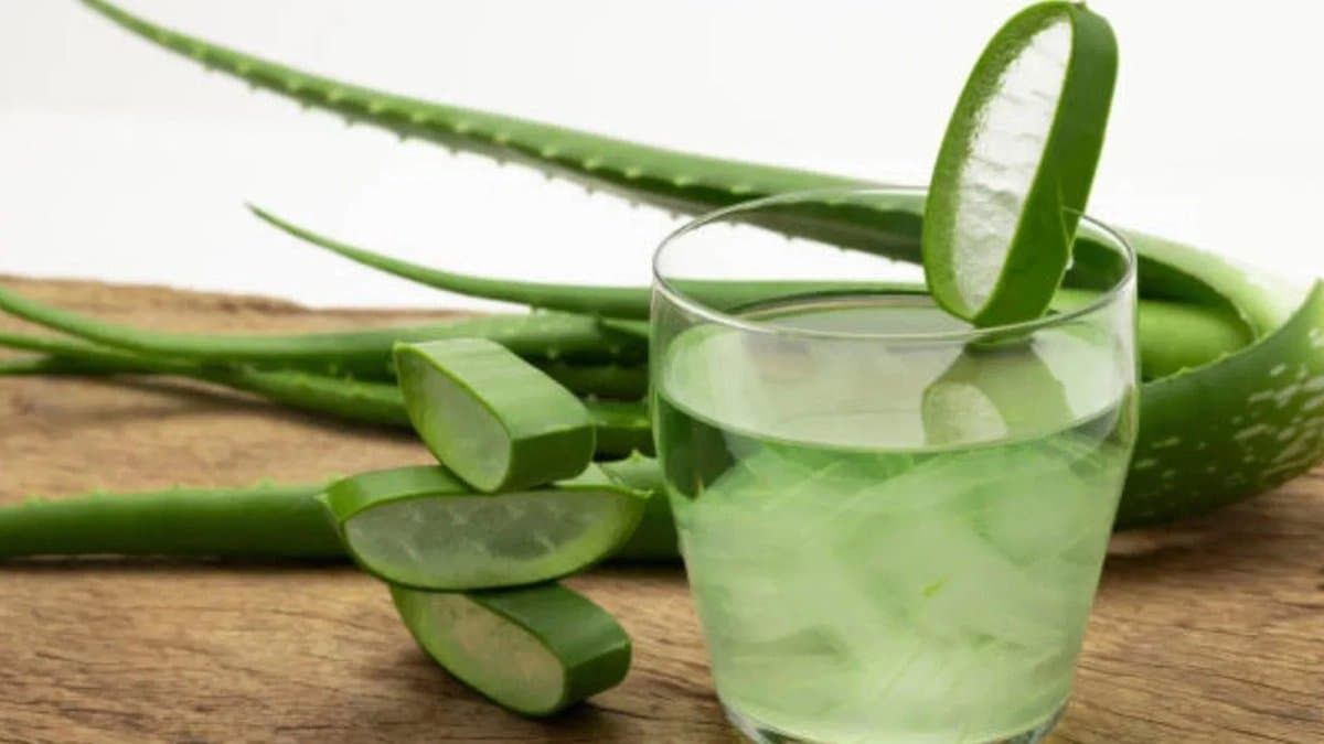 Aloe vera prevents skin and hair problems and has many health benefits 