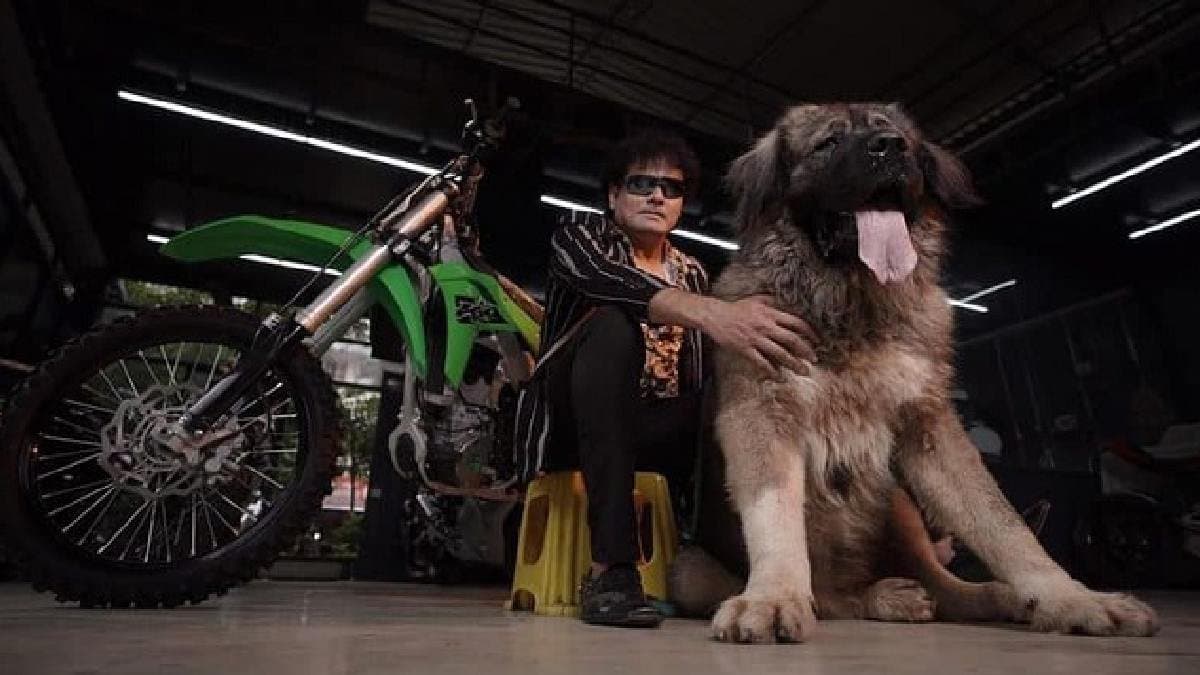 A bengaluru man bought the costliest dog of the world worth 50 crore
