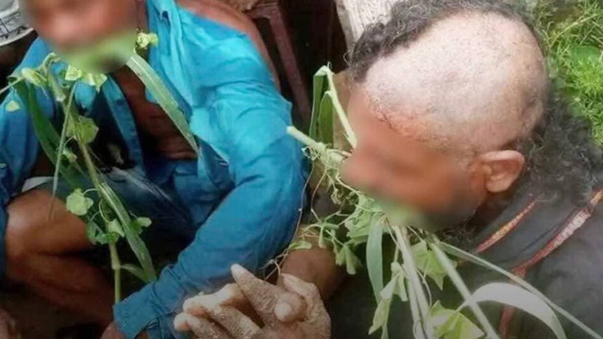 Dalit lynching in Odisha: Eight arrested on suspicion of cow thieves